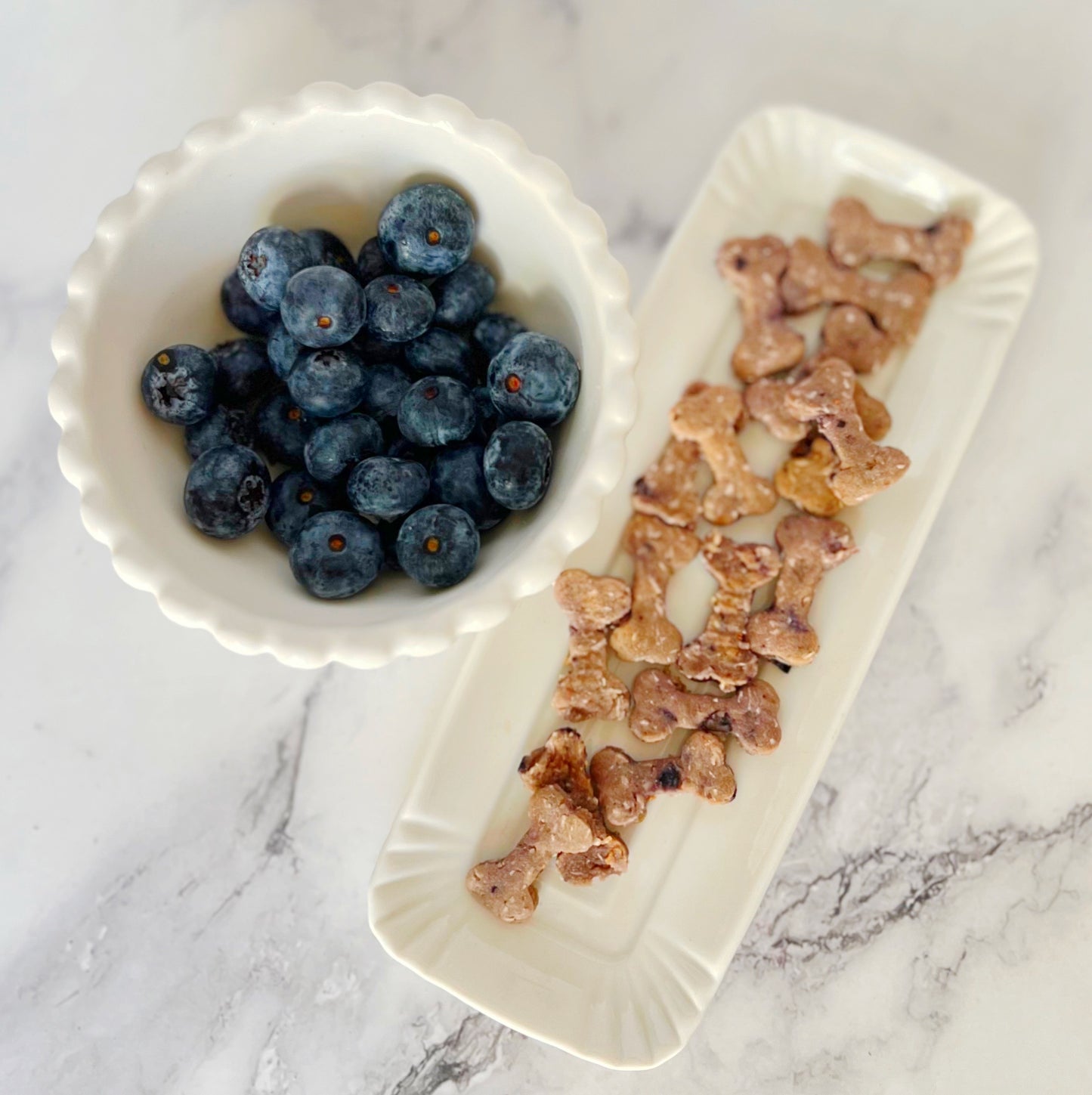 Hundeleckerli mit Blaubeer-Rindfleischbissen | Glutenfrei