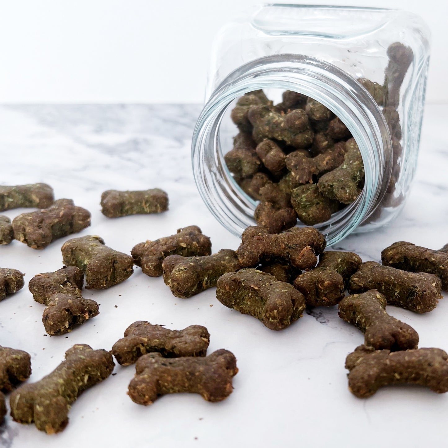 Biscotti per cani con spirulina alito fresco